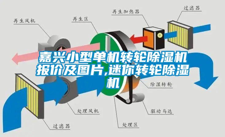 嘉興小型單機轉(zhuǎn)輪除濕機報價及圖片,迷你轉(zhuǎn)輪除濕機