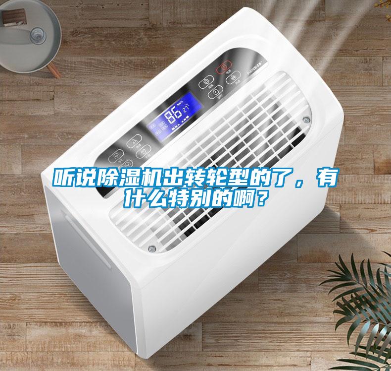 聽說除濕機(jī)出轉(zhuǎn)輪型的了，有什么特別的啊？