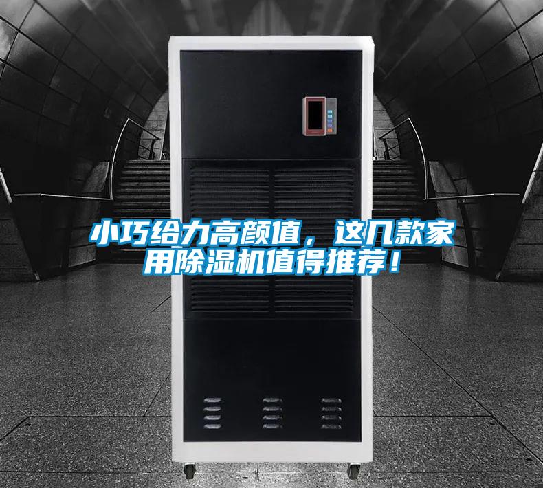 小巧給力高顏值，這幾款家用除濕機(jī)值得推薦！