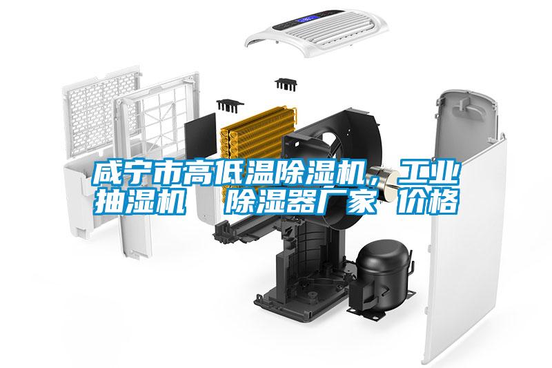 咸寧市高低溫除濕機(jī)，工業(yè)抽濕機(jī)  除濕器廠家 價(jià)格