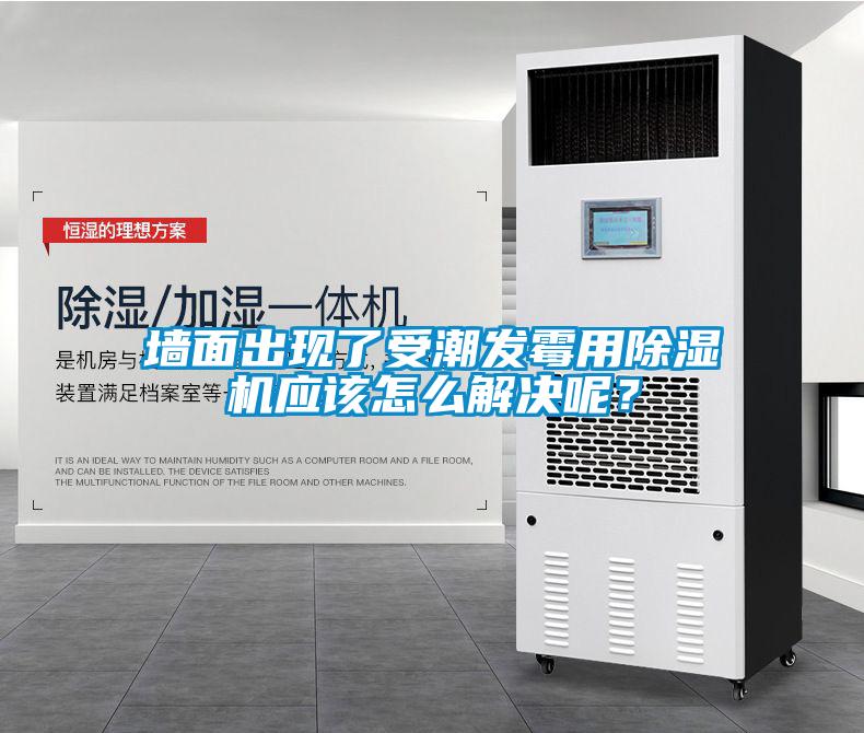墻面出現了受潮發霉用除濕機應該怎么解決呢？