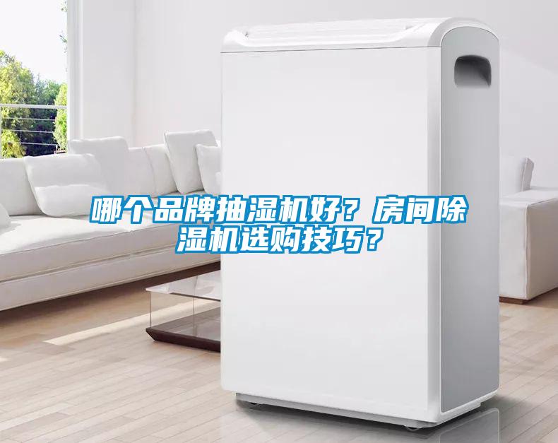 哪個(gè)品牌抽濕機(jī)好？房間除濕機(jī)選購技巧？