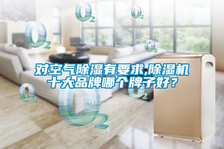 對空氣除濕有要求,除濕機十大品牌哪個牌子好？