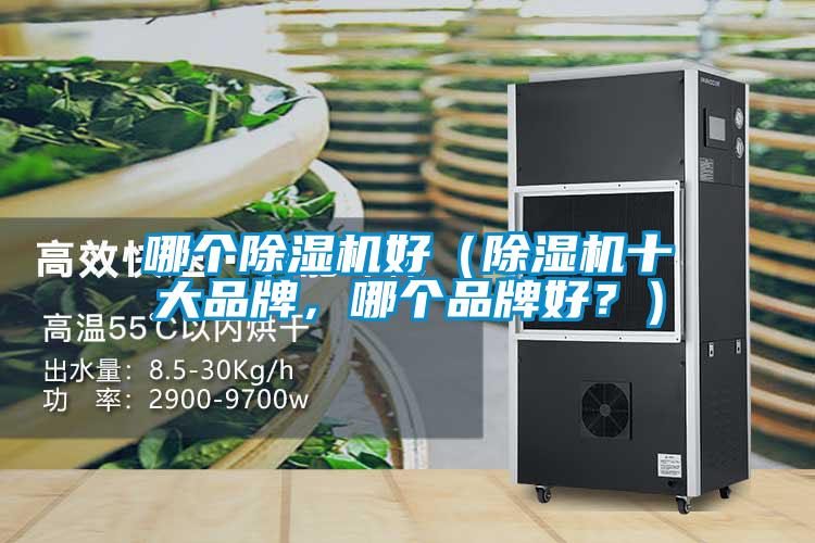 哪個(gè)除濕機(jī)好（除濕機(jī)十大品牌，哪個(gè)品牌好？）