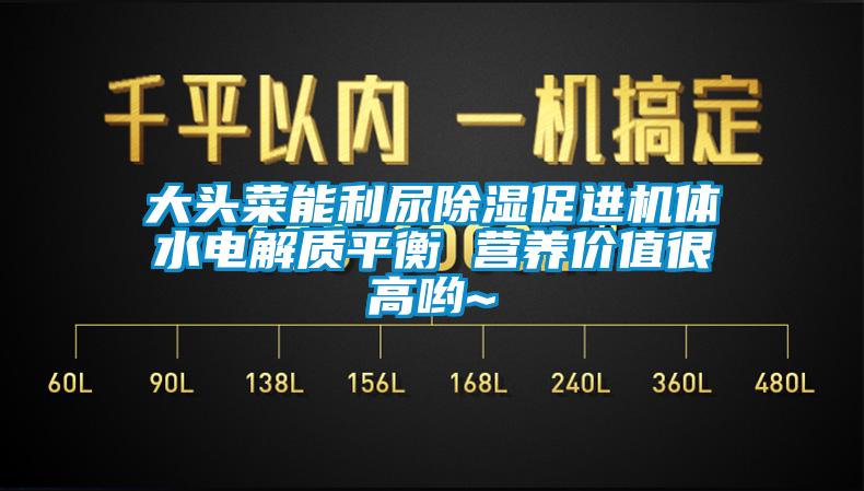 大頭菜能利尿除濕促進(jìn)機(jī)體水電解質(zhì)平衡 營養(yǎng)價(jià)值很高喲~