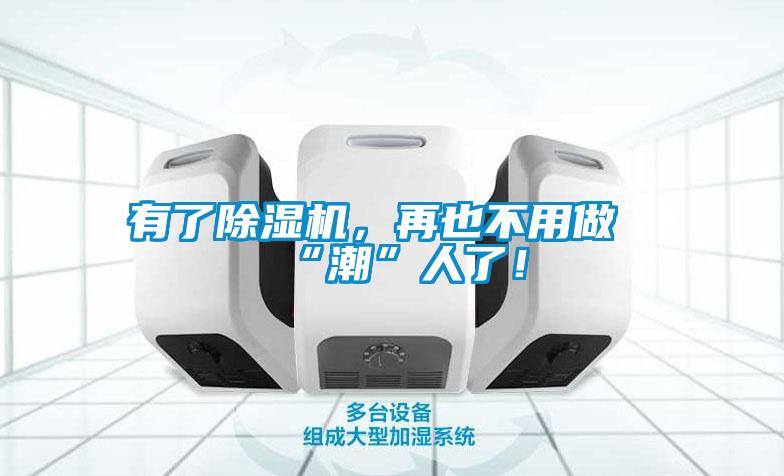 有了除濕機，再也不用做“潮”人了！