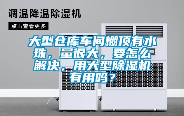 大型倉(cāng)庫(kù)車間棚頂有水珠，量很大，要怎么解決，用大型除濕機(jī)有用嗎？