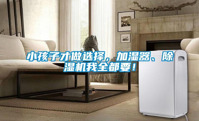 小孩子才做選擇，加濕器、除濕機(jī)我全都要！