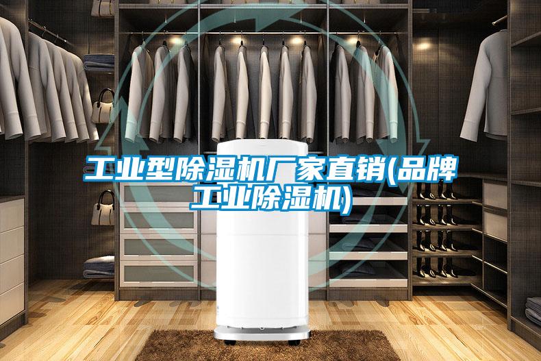 工業(yè)型除濕機(jī)廠家直銷(品牌工業(yè)除濕機(jī))