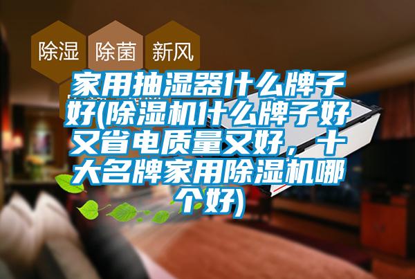 家用抽濕器什么牌子好(除濕機什么牌子好又省電質量又好，十大名牌家用除濕機哪個好)