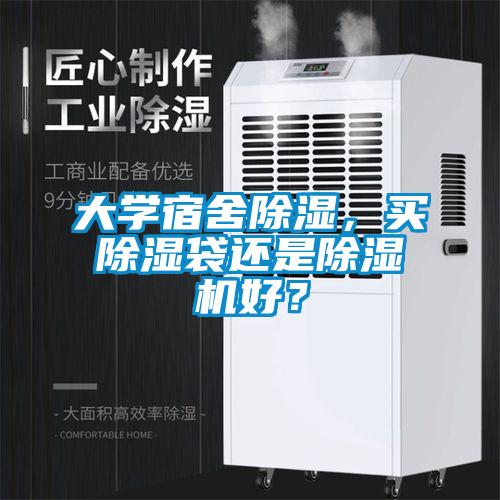 大學宿舍除濕，買除濕袋還是除濕機好？
