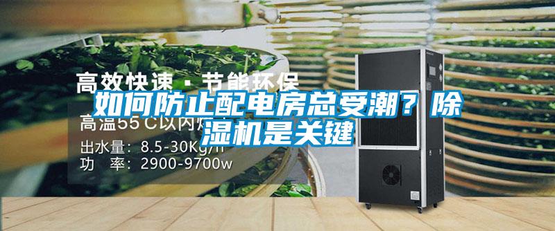 如何防止配電房總受潮？除濕機是關(guān)鍵