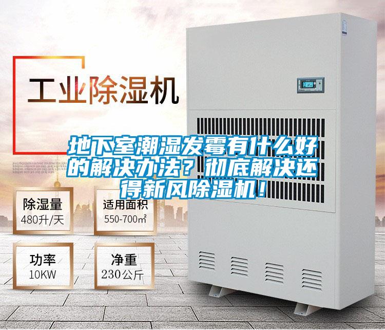 地下室潮濕發霉有什么好的解決辦法？徹底解決還得新風除濕機！