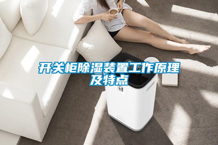 開(kāi)關(guān)柜除濕裝置工作原理及特點(diǎn)