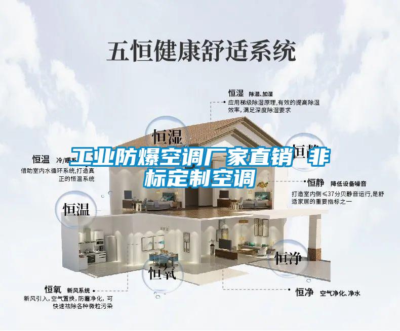 工業(yè)防爆空調(diào)廠(chǎng)家直銷(xiāo) 非標(biāo)定制空調(diào)