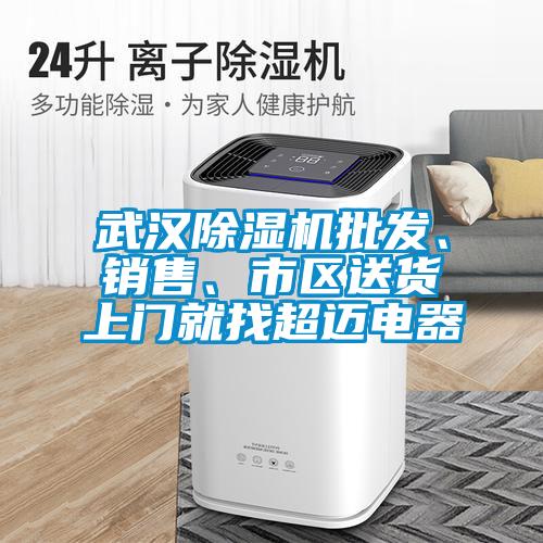 武漢除濕機批發、銷售、市區送貨上門就找超邁電器