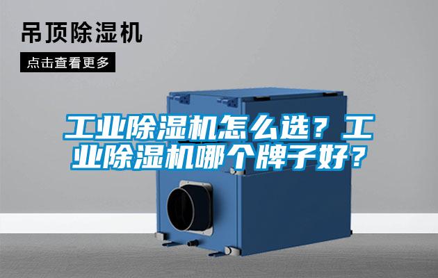 工業(yè)除濕機怎么選？工業(yè)除濕機哪個牌子好？