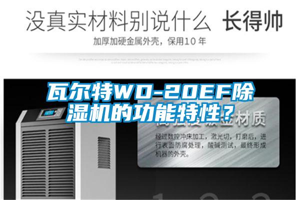 瓦爾特WD-20EF除濕機的功能特性？