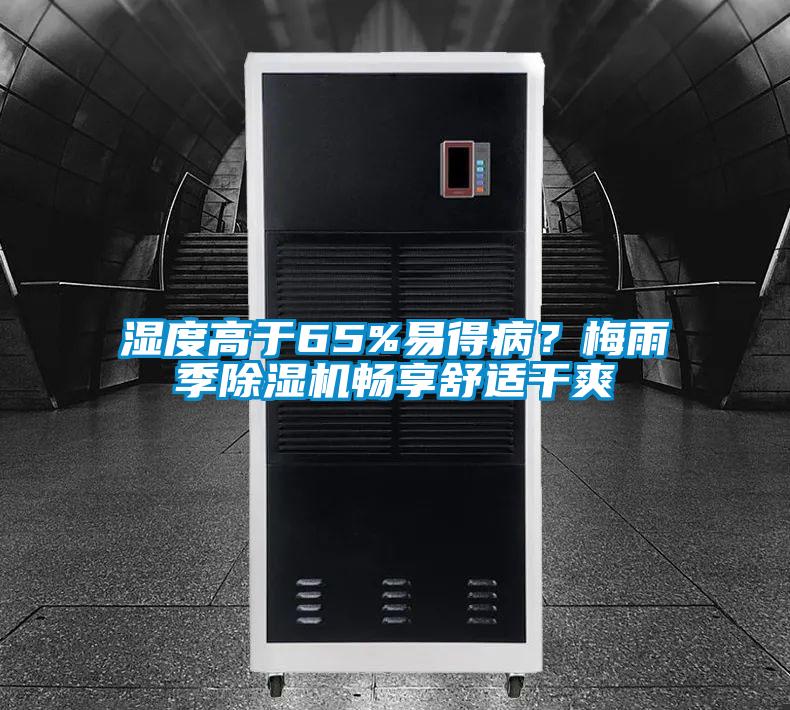 濕度高于65%易得病？梅雨季除濕機暢享舒適干爽