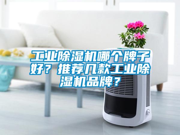 工業除濕機哪個牌子好？推薦幾款工業除濕機品牌？