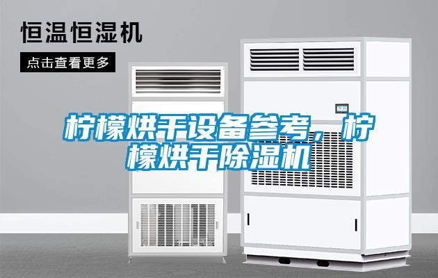 檸檬烘干設(shè)備參考，檸檬烘干除濕機