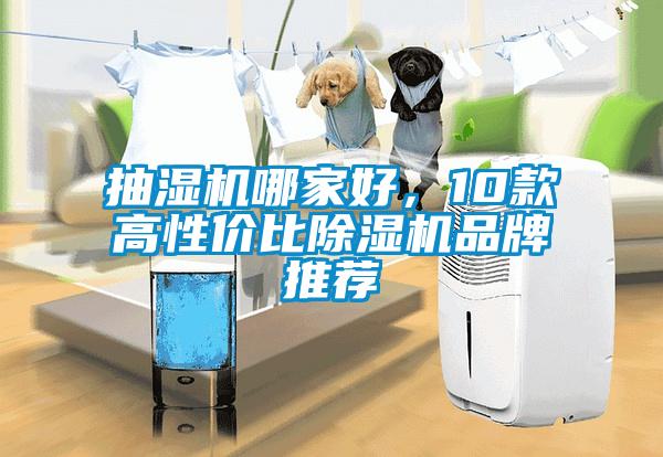 抽濕機哪家好，10款高性價比除濕機品牌推薦