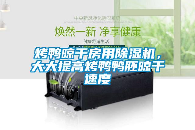 烤鴨晾干房用除濕機，大大提高烤鴨鴨胚晾干速度
