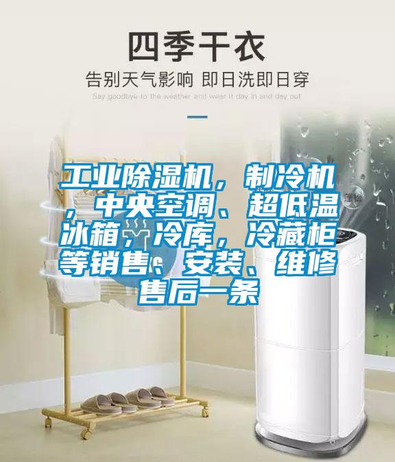 工業除濕機，制冷機，中央空調、超低溫冰箱，冷庫，冷藏柜等銷售、安裝、維修售后一條