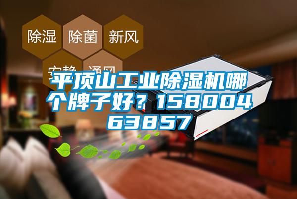 平頂山工業(yè)除濕機哪個牌子好？15800463857