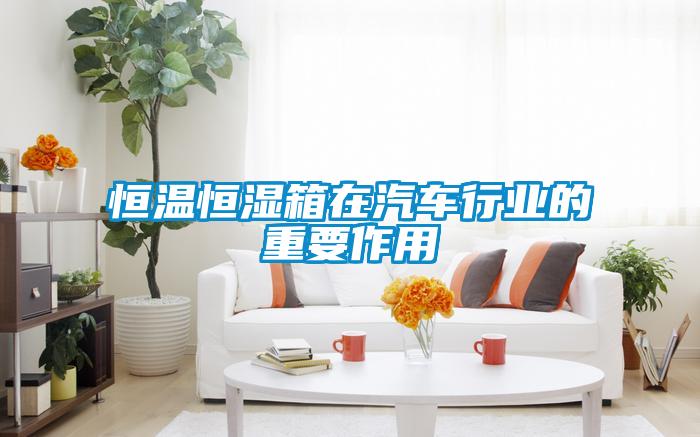 恒溫恒濕箱在汽車(chē)行業(yè)的重要作用
