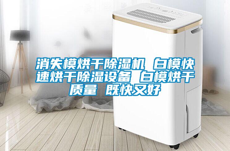 消失模烘干除濕機 白模快速烘干除濕設(shè)備 白模烘干質(zhì)量 既快又好