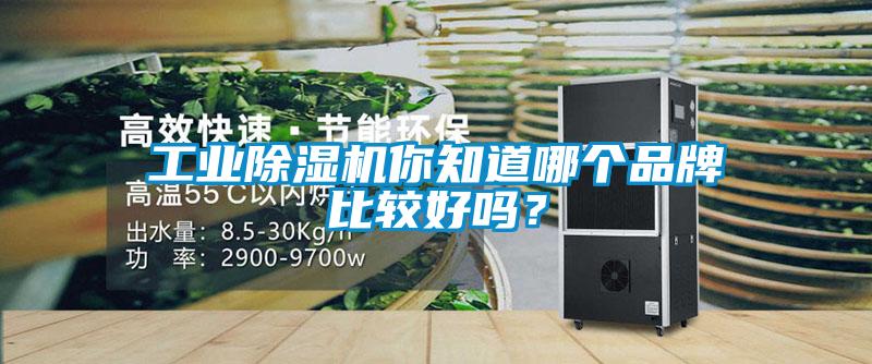 工業除濕機你知道哪個品牌比較好嗎？