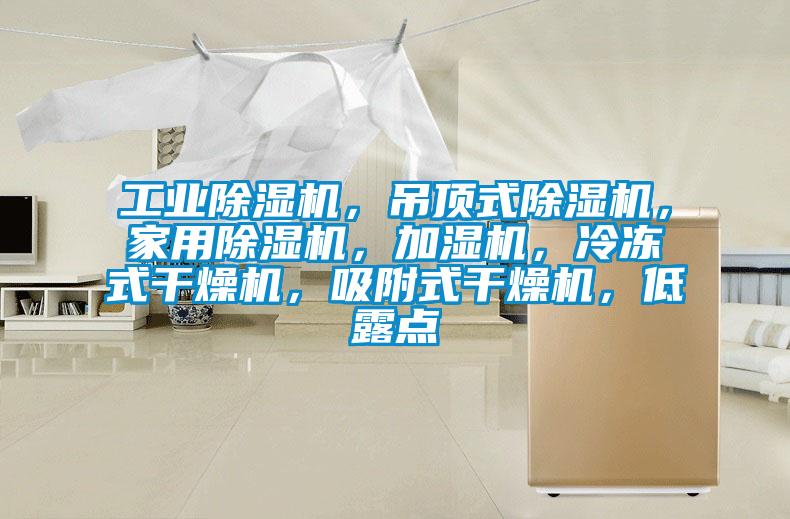 工業除濕機，吊頂式除濕機，家用除濕機，加濕機，冷凍式干燥機，吸附式干燥機，低露點