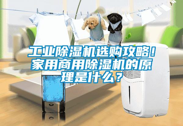 工業除濕機選購攻略！家用商用除濕機的原理是什么？