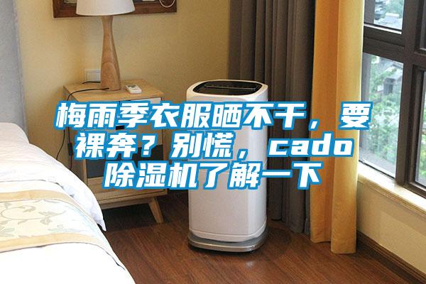 梅雨季衣服曬不干，要裸奔？別慌，cado除濕機了解一下