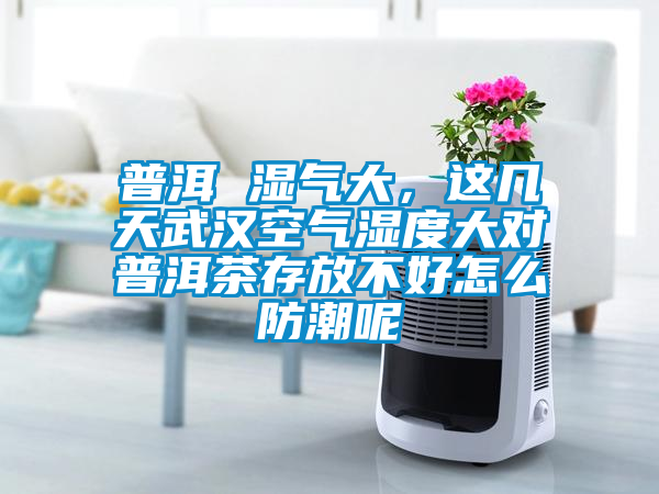 普洱 濕氣大，這幾天武漢空氣濕度大對普洱茶存放不好怎么防潮呢