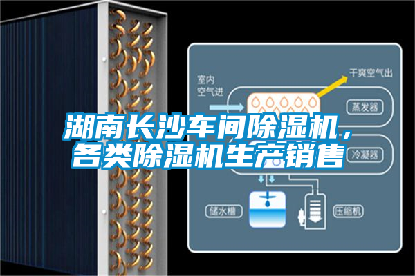 湖南長沙車間除濕機(jī)，各類除濕機(jī)生產(chǎn)銷售