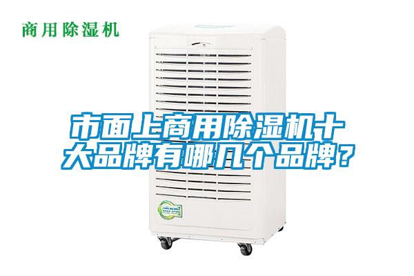 市面上商用除濕機十大品牌有哪幾個品牌？