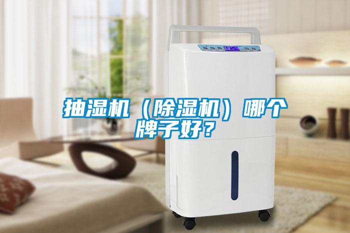 抽濕機(jī)（除濕機(jī)）哪個牌子好？
