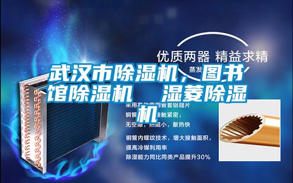 武漢市除濕機，圖書館除濕機  濕菱除濕機