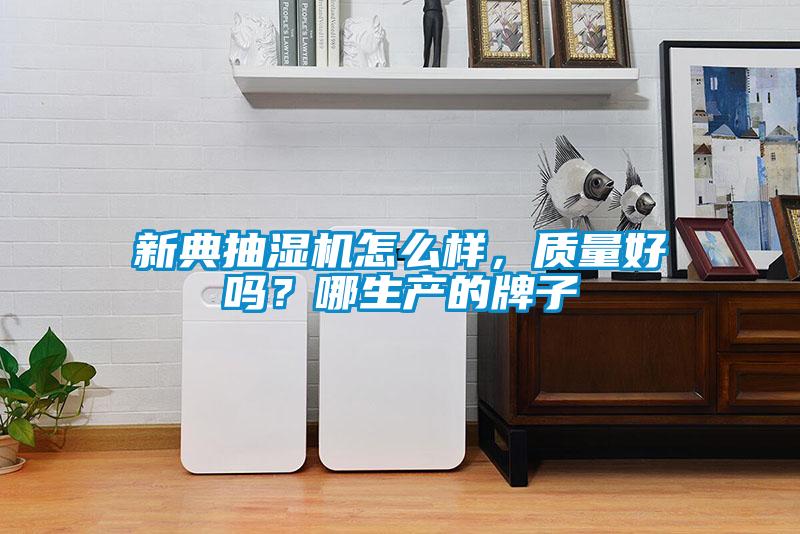 新典抽濕機怎么樣，質量好嗎？哪生產的牌子