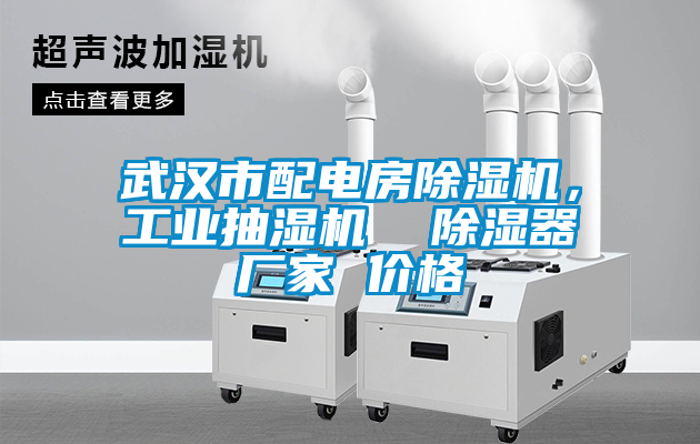 武漢市配電房除濕機，工業(yè)抽濕機  除濕器廠家 價格