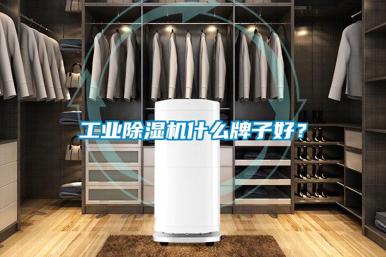 工業(yè)除濕機什么牌子好？