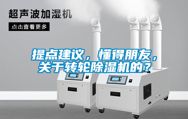 提點(diǎn)建議，懂得朋友，關(guān)于轉(zhuǎn)輪除濕機(jī)的？