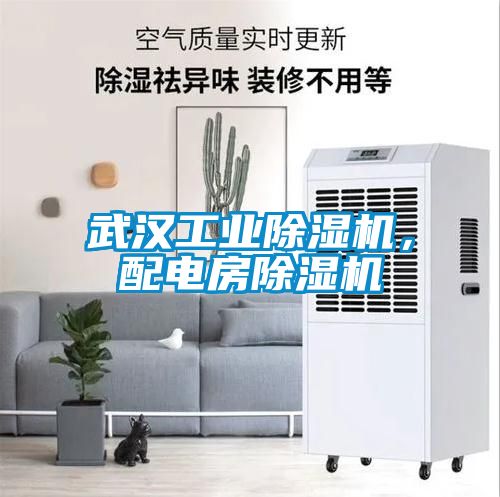 武漢工業除濕機，配電房除濕機