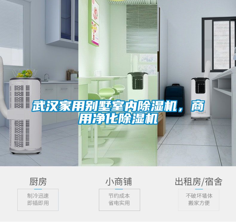 武漢家用別墅室內除濕機，商用凈化除濕機