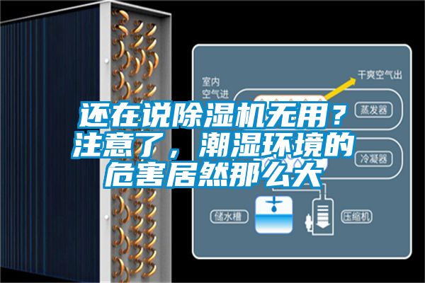 還在說除濕機(jī)無(wú)用？注意了，潮濕環(huán)境的危害居然那么大