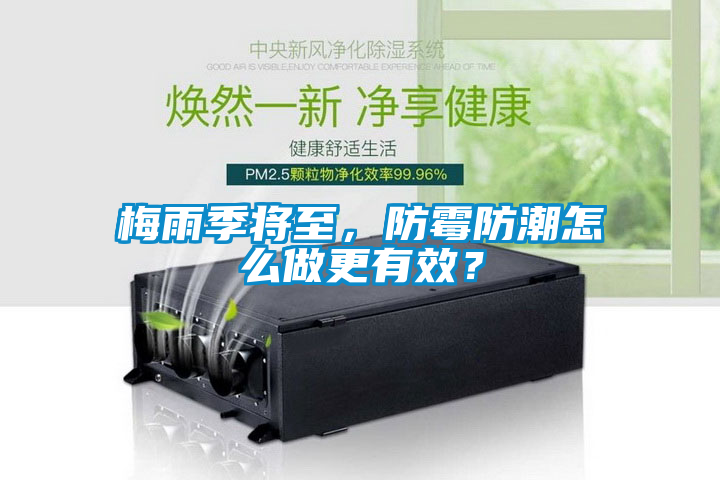 梅雨季將至，防霉防潮怎么做更有效？