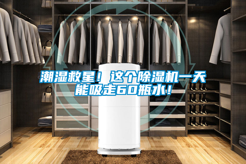 潮濕救星！這個(gè)除濕機(jī)一天能吸走60瓶水！