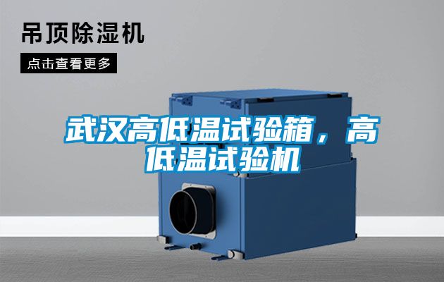武漢高低溫試驗(yàn)箱，高低溫試驗(yàn)機(jī)